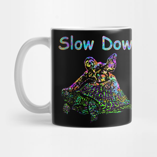 Sloth and Turtle Slow Down by Leon Loveless